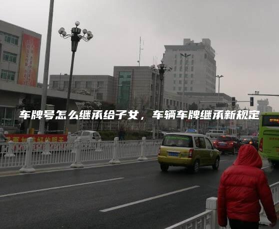车牌号怎么继承给子女，车辆车牌继承新规定