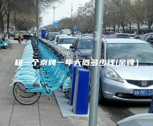 租一个京牌一年大概多少钱(金牌）