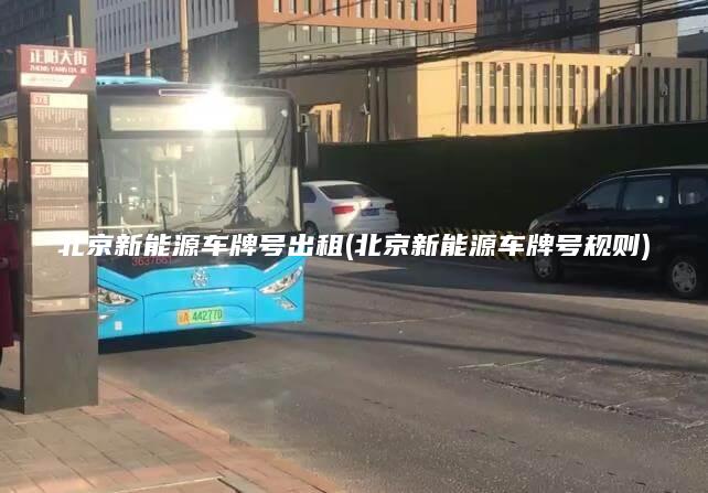 北京新能源车牌号出租(北京新能源车牌号规则)