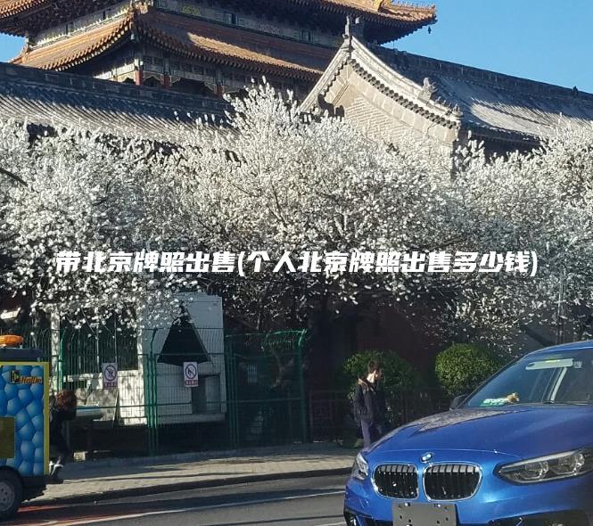 带北京牌照出售(个人北京牌照出售多少钱) 带北京牌照出售(个人北京牌照出售多少钱)