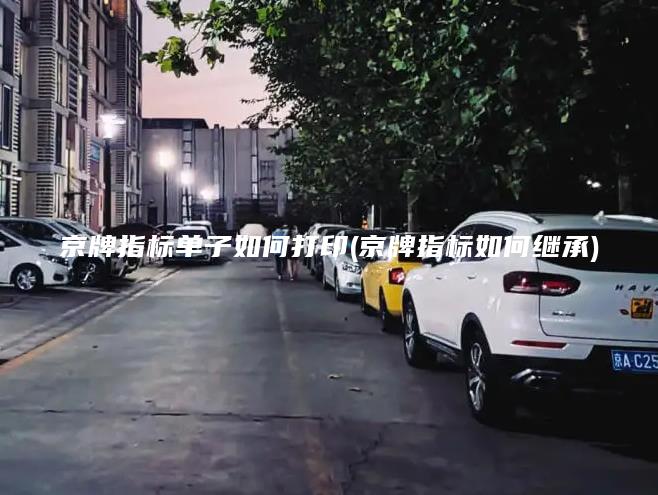 京牌指标单子如何打印(京牌指标如何继承) 京牌指标单子如何打印(京牌指标如何继承)