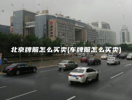 北京牌照怎么买卖(车牌照怎么买卖)