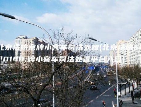 北京法院京牌小客车司法处置(北京法院京牌小客车司法处置平台入口)