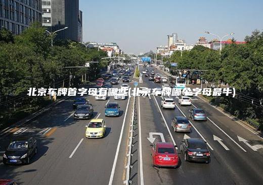 北京车牌首字母有哪些(北京车牌哪个字母最牛)