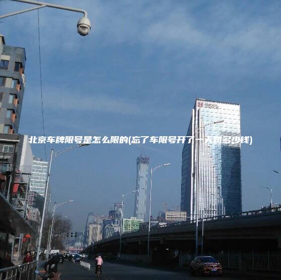 北京车牌限号是怎么限的(忘了车限号开了一天罚多少钱)