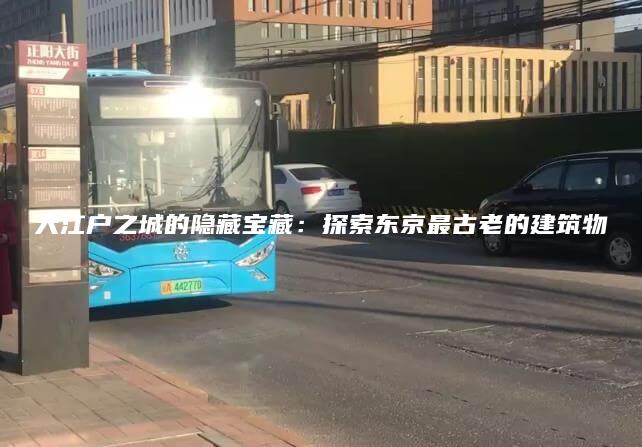 大江户之城的隐藏宝藏：探索东京最古老的建筑物
