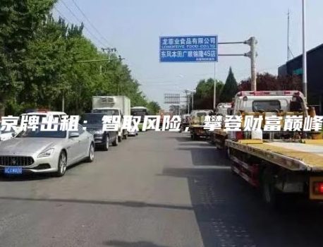 京牌出租：智取风险，攀登财富巅峰