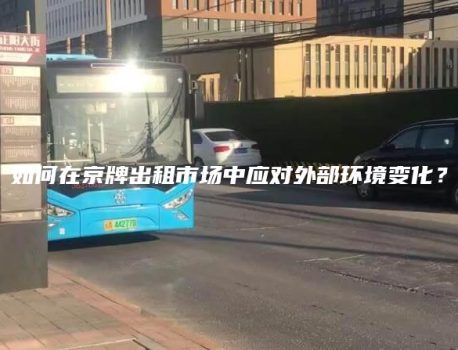 如何在京牌出租市场中应对外部环境变化？