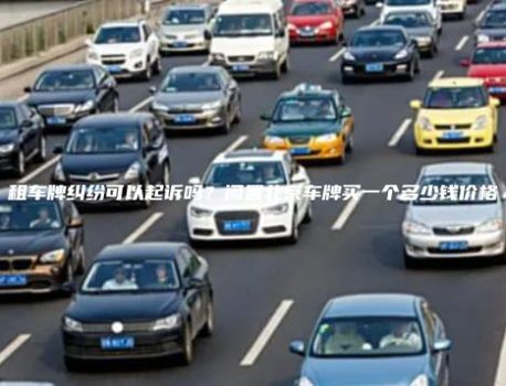 租车牌纠纷可以起诉吗？闲置北京车牌买一个多少钱价格