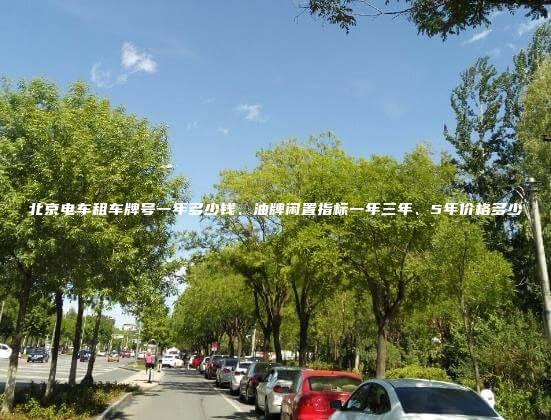北京电车租车牌号一年多少钱、油牌闲置指标一年三年、5年价格多少