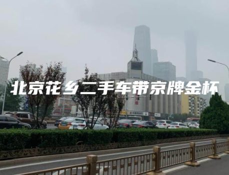 北京花乡二手车带京牌金杯
