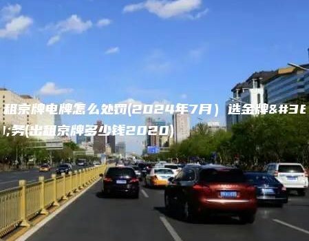 出租京牌电牌怎么处罚(2024年7月）选金牌车务(出租京牌多少钱2020)