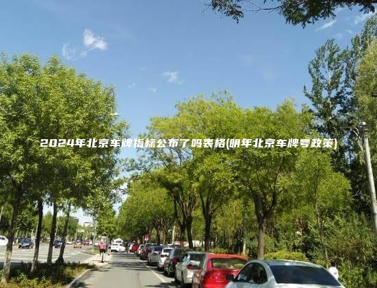 2024年北京车牌指标公布了吗表格(明年北京车牌号政策)