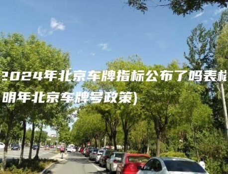 2024年北京车牌指标公布了吗表格(明年北京车牌号政策)