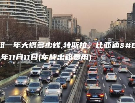 车牌出租一年大概多少钱,特斯拉，比亚迪，2024年11月11日(车牌出租费用)