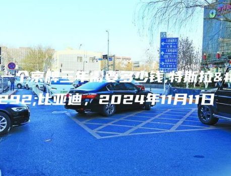 租一个京牌三年需要多少钱,特斯拉，比亚迪，2024年11月11日