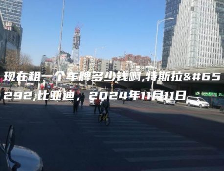 现在租一个车牌多少钱啊,特斯拉，比亚迪，2024年11月11日