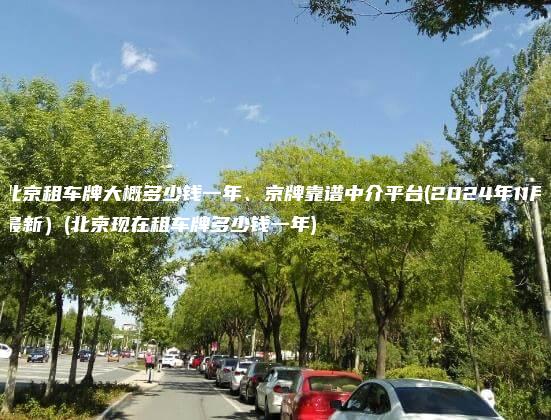 北京租车牌大概多少钱一年、京牌靠谱中介平台(2024年11月最新）(北京现在租车牌多少钱一年)