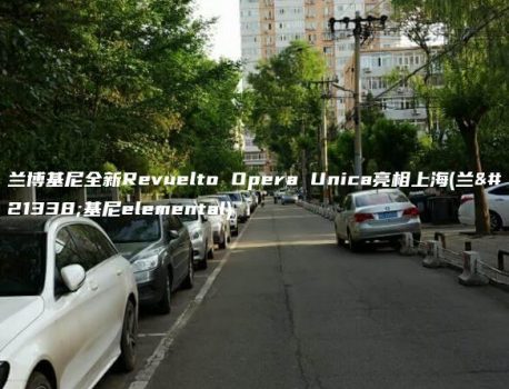 兰博基尼全新Revuelto Opera Unica亮相上海(兰博基尼elemental)