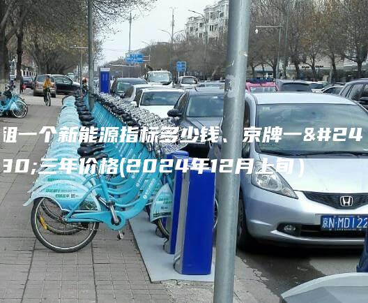租一个新能源指标多少钱、京牌一年三年价格(2024年12月上旬）