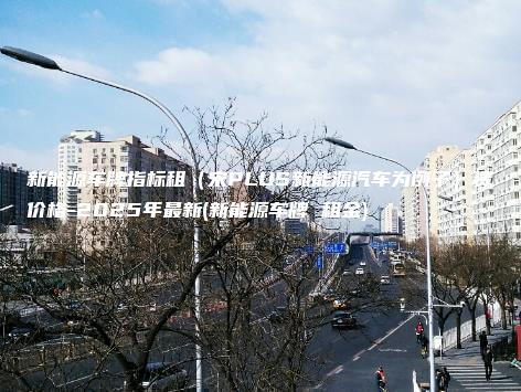 新能源车牌指标租（宋PLUS新能源汽车为例子）赁价格-2025年最新(新能源车牌 租金)