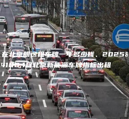 现在北京朗逸租车牌一年多少钱、2025年1月北京新能源车牌指标出租