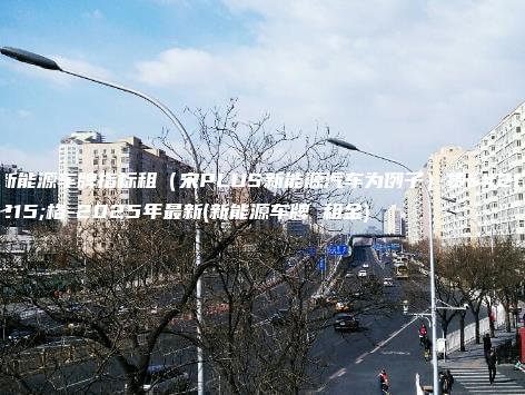 新能源车牌指标租(宋PLUS新能源汽车为例子)赁价格-2025年最新(新能源车牌 租金)