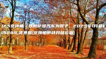 2025京牌租（以帕萨特汽车为例子，2025年1月最新）赁费用(京牌帕萨特月租价格)