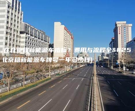 如何在北京租新能源车指标？费用与流程全攻略(北京租新能源车牌号一年多少钱)