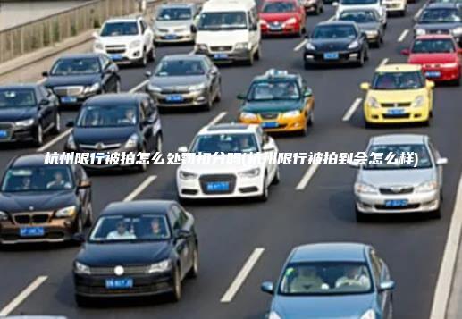 杭州限行被拍怎么处罚扣分吗(杭州限行被拍到会怎么样)