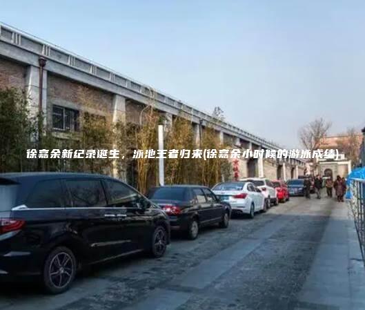 徐嘉余新纪录诞生，泳池王者归来(徐嘉余小时候的游泳成绩)