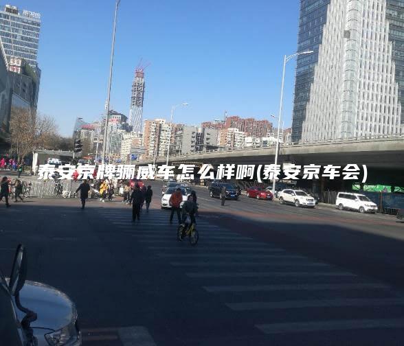 泰安京牌骊威车怎么样啊(泰安京车会)