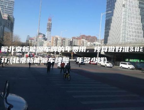 了解北京新能源车牌的年费用，预算做好准备(北京新能源车牌照一年多少钱)