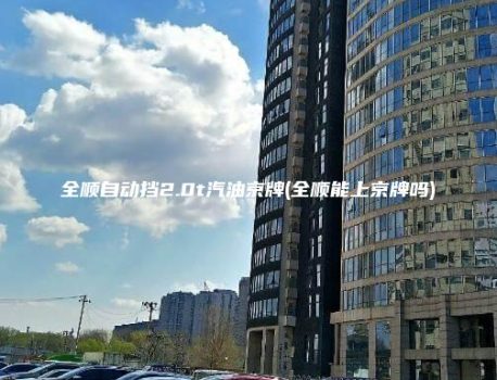 全顺自动挡2.0t汽油京牌(全顺能上京牌吗)